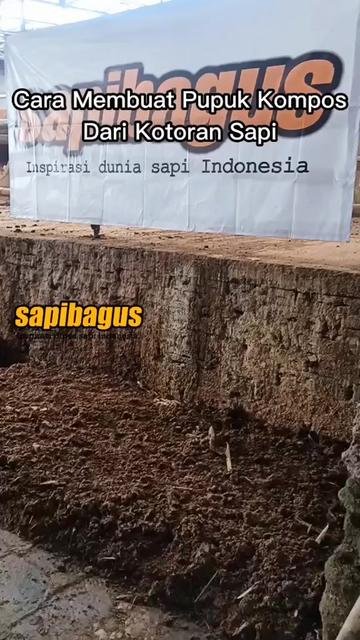 Pemanfaatan-Kotoran-Sapi-Untuk-Pupuk-Kompos